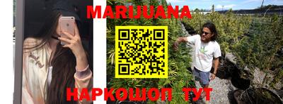 гидра Нальчик