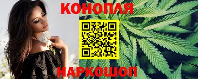 гидра Нальчик