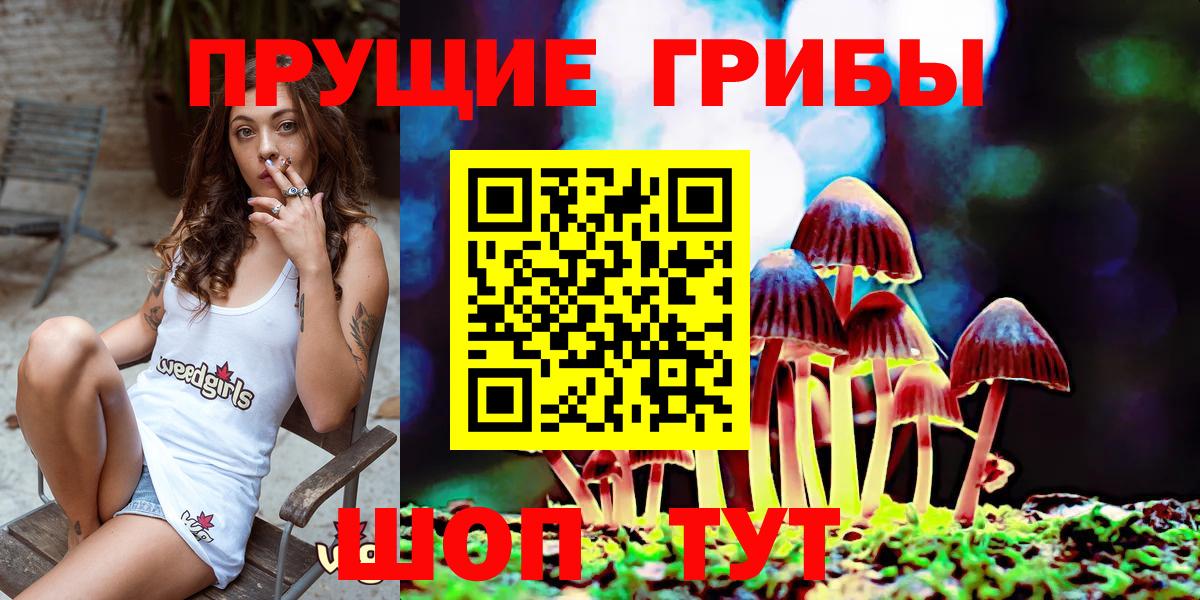 Псилоцибиновые грибы MAGIC MUSHROOMS Ставрополь